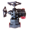 API602 1500lb forgé en acier A105 bout NPT Globe Valve